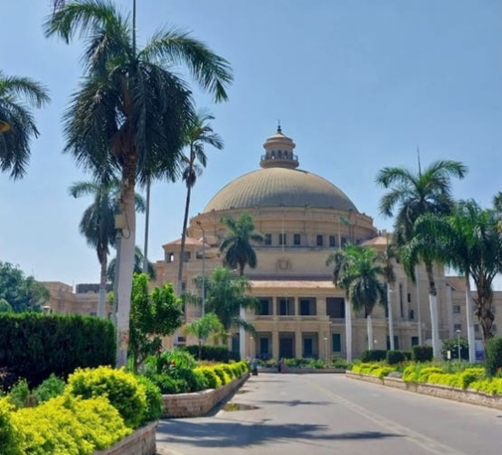 التعليم والجامعات